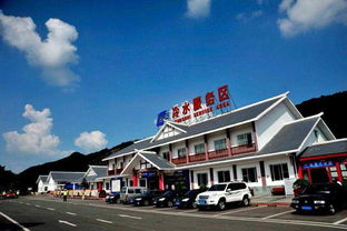 服务区停车陷阱曝光 上百辆车中招，车主一夜损失数万元