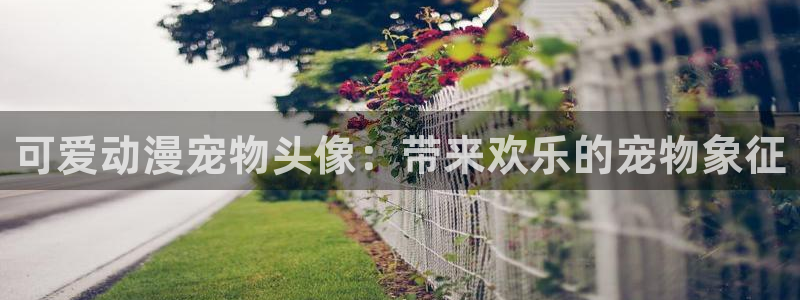 age漫画网：可爱动漫宠物头像：带来欢乐的宠物象征