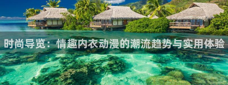 age动漫：时尚导览：情趣内衣动漫的潮流趋势与实用体验