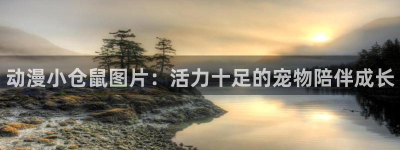 age动漫网上看：动漫小仓鼠图片：活力十足的宠物陪伴成长