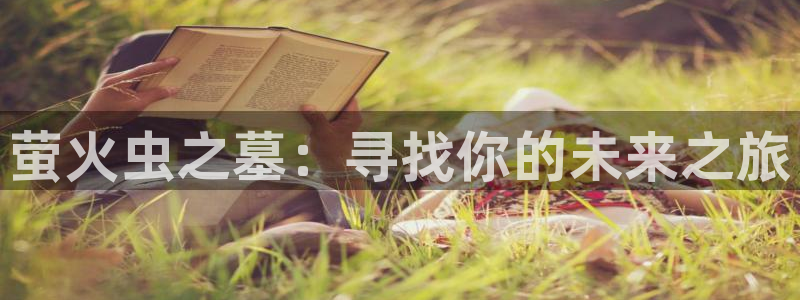 age动漫官网入口老版本：萤火虫之墓：寻找你的未来之旅