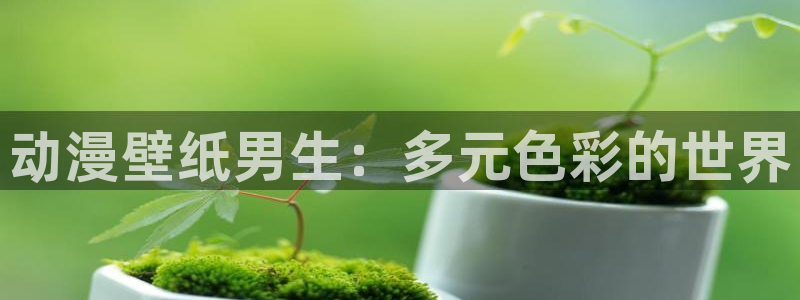 colamanage漫画官网：动漫壁纸男生：多元色彩的世界