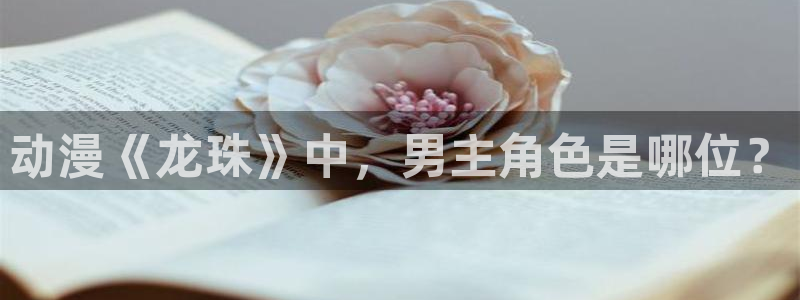 age动漫官网樱花动漫：动漫《龙珠》中，男主角色是哪位？