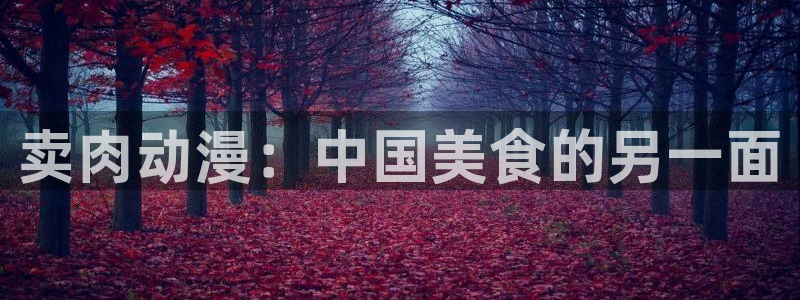 age动漫：卖肉动漫：中国美食的另一面