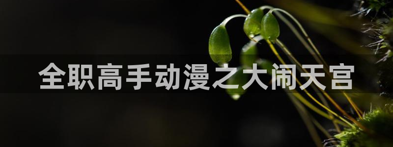 kakaopage韩漫官网：全职高手动漫之大闹天宫