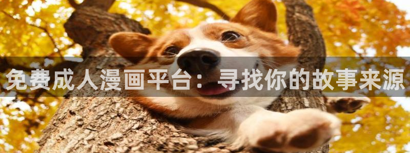 age动漫下载入口：免费成人漫画平台：寻找你的故事来源