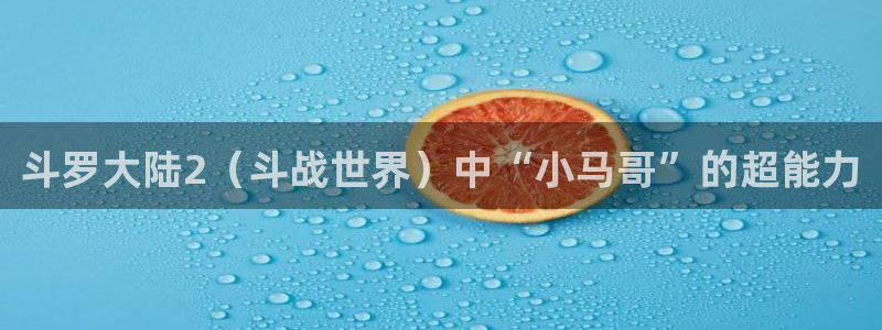 age动漫官网版入口：斗罗大陆2（斗战世界）中“小马哥”的超能力