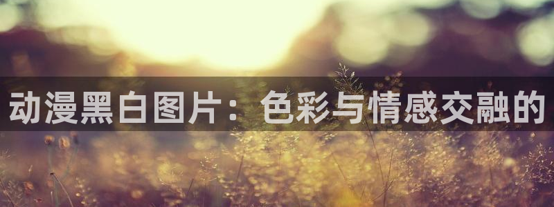 backstage韩漫免费观看：动漫黑白图片：色彩与情感交融的