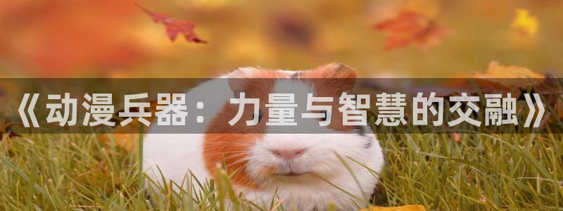 age动漫网上看：《动漫兵器：力量与智慧的交融》
