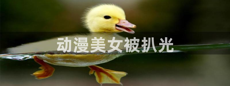 age动漫官网入口老版本：动漫美女被扒光