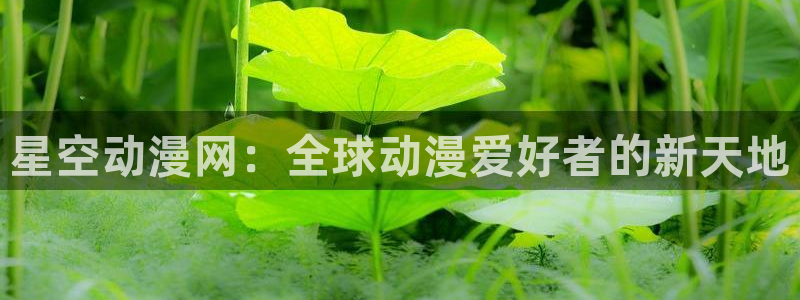 colamanage漫画官网：星空动漫网：全球动漫爱好者的新天地