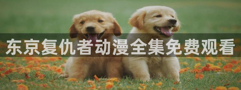 kakaopage韩漫官网：东京复仇者动漫全集免费观看